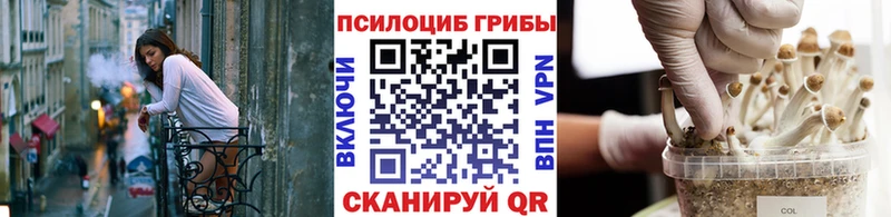 Псилоцибиновые грибы Magic Shrooms  Купить  Татарск 